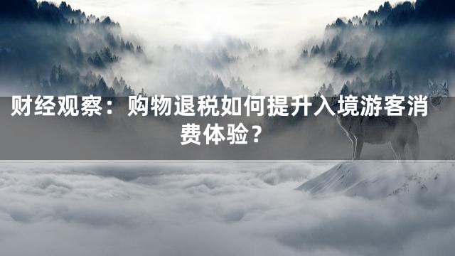 财经观察：购物退税如何提升入境游客消费体验？