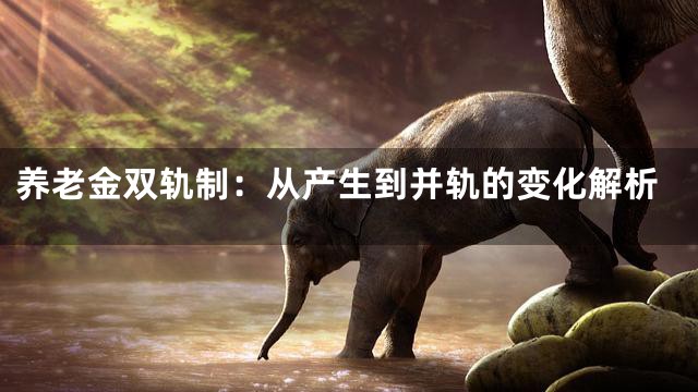 养老金双轨制：从产生到并轨的变化解析