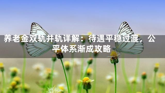 养老金双轨并轨详解：待遇平稳过渡，公平体系渐成攻略