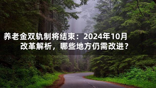 养老金双轨制将结束：2024年10月改革解析，哪些地方仍需改进？