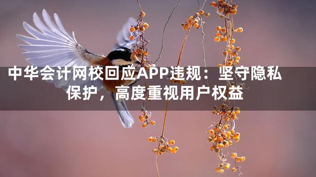 中华会计网校回应APP违规：坚守隐私保护，高度重视用户权益