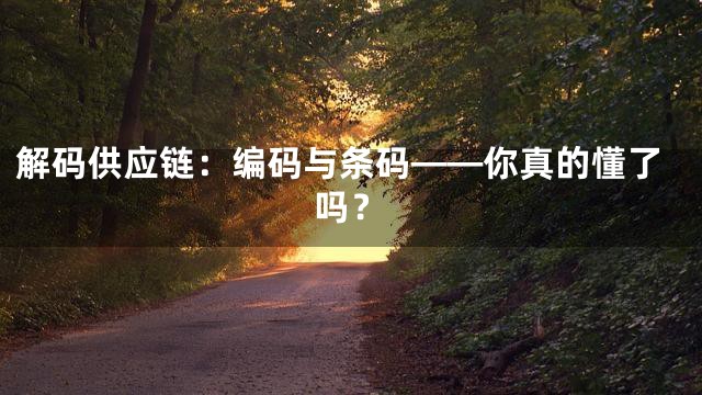 解码供应链：编码与条码——你真的懂了吗？