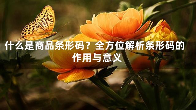 什么是商品条形码？全方位解析条形码的作用与意义