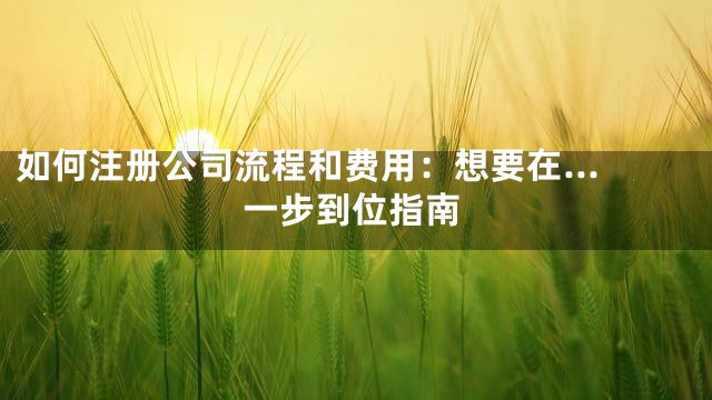 如何注册公司流程和费用：想要在...一步到位指南