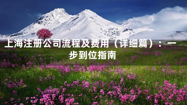 上海注册公司流程及费用（详细篇）：一步到位指南