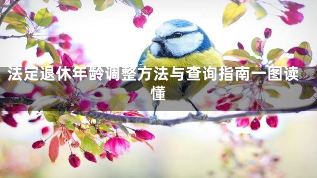 法定退休年龄调整方法与查询指南一图读懂