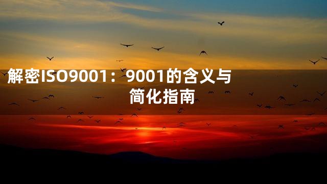 解密ISO9001：9001的含义与简化指南