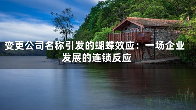 变更公司名称引发的蝴蝶效应：一场企业发展的连锁反应