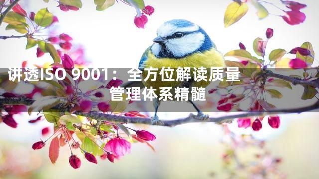讲透ISO 9001：全方位解读质量管理体系精髓