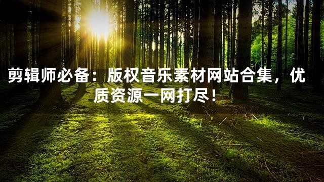 剪辑师必备：版权音乐素材网站合集，优质资源一网打尽！