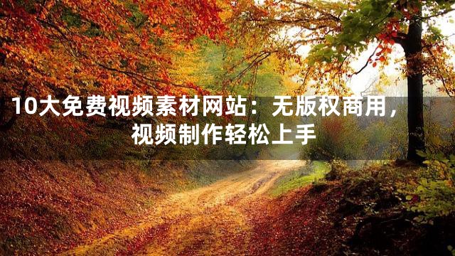10大免费视频素材网站：无版权商用，视频制作轻松上手