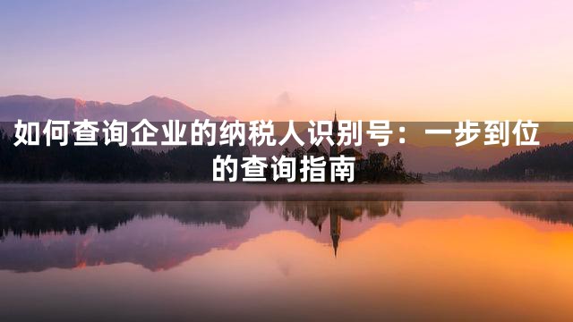 如何查询企业的纳税人识别号：一步到位的查询指南
