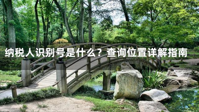纳税人识别号是什么？查询位置详解指南