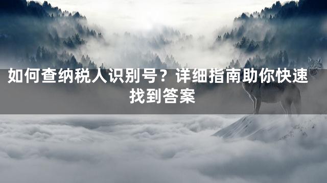如何查纳税人识别号？详细指南助你快速找到答案