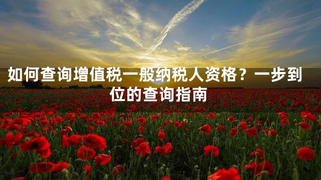 如何查询增值税一般纳税人资格？一步到位的查询指南