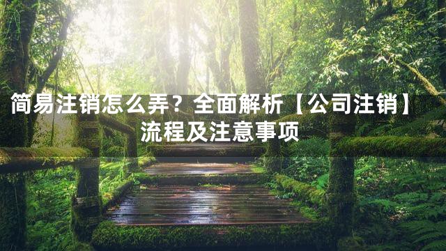 简易注销怎么弄？全面解析【公司注销】流程及注意事项
