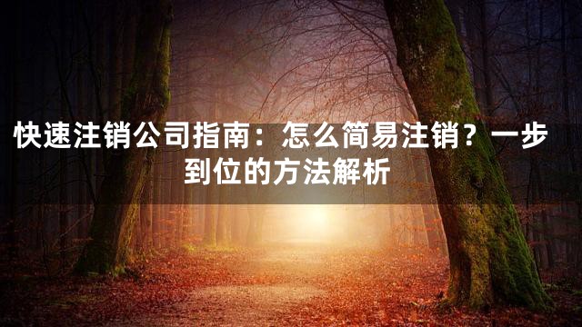 快速注销公司指南：怎么简易注销？一步到位的方法解析