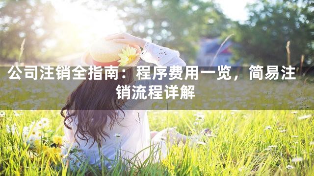 公司注销全指南：程序费用一览，简易注销流程详解