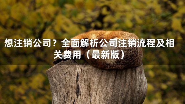 想注销公司？全面解析公司注销流程及相关费用（最新版）