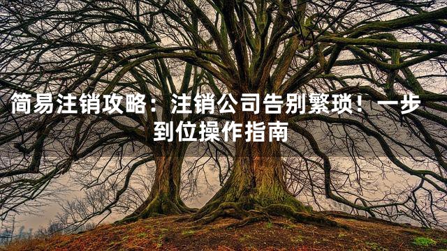 简易注销攻略：注销公司告别繁琐！一步到位操作指南