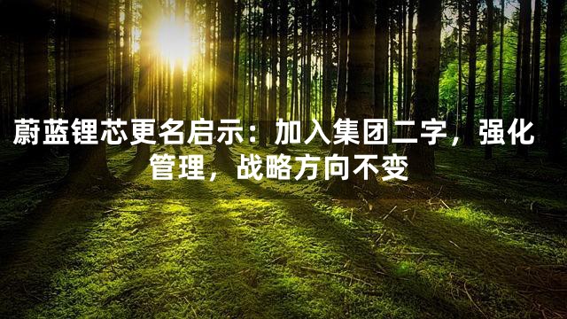 蔚蓝锂芯更名启示：加入集团二字，强化管理，战略方向不变
