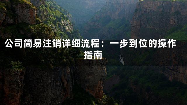 公司简易注销详细流程：一步到位的操作指南