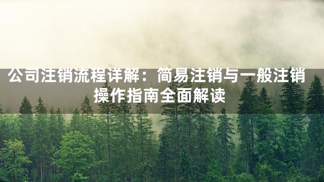 公司注销流程详解：简易注销与一般注销操作指南全面解读