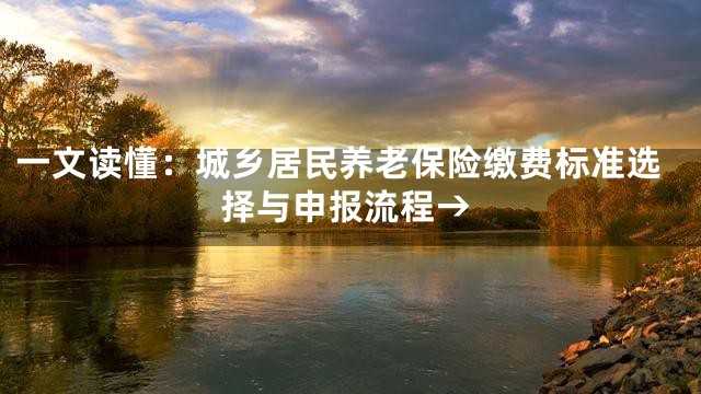 一文读懂：城乡居民养老保险缴费标准选择与申报流程→