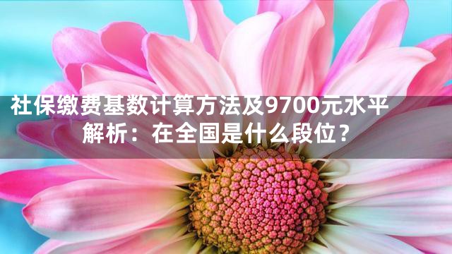社保缴费基数计算方法及9700元水平解析：在全国是什么段位？