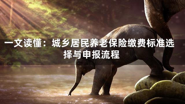 一文读懂：城乡居民养老保险缴费标准选择与申报流程