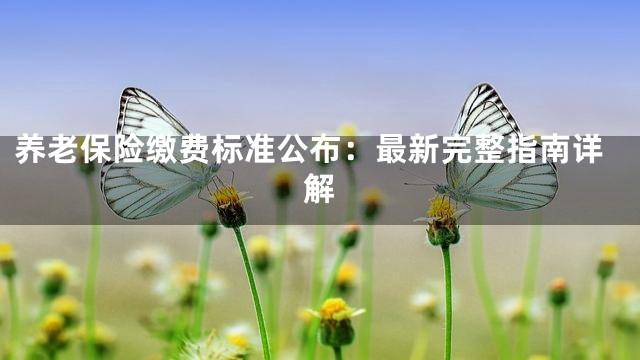 养老保险缴费标准公布：最新完整指南详解
