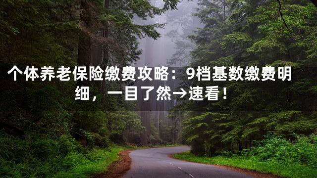 个体养老保险缴费攻略：9档基数缴费明细，一目了然→速看！