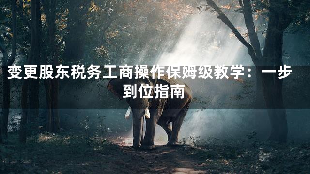 变更股东税务工商操作保姆级教学：一步到位指南