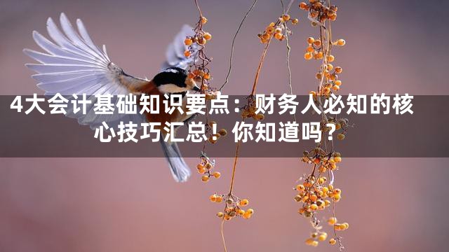 4大会计基础知识要点：财务人必知的核心技巧汇总！你知道吗？