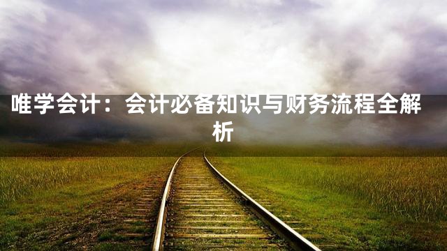 唯学会计：会计必备知识与财务流程全解析