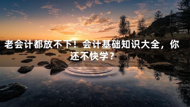 老会计都放不下！会计基础知识大全，你还不快学？