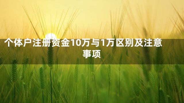 个体户注册资金10万与1万区别及注意事项