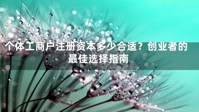 个体工商户注册资本多少合适？创业者的最佳选择指南
