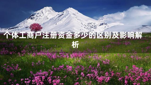个体工商户注册资金多少的区别及影响解析