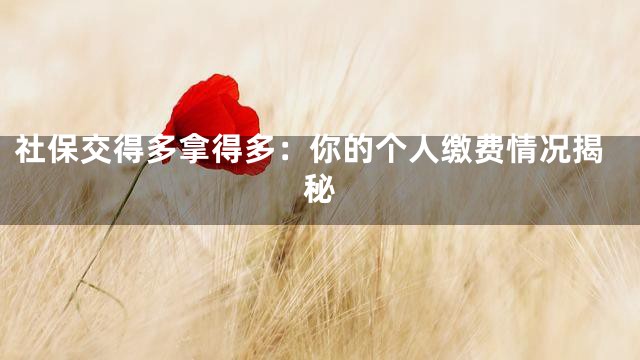 社保交得多拿得多：你的个人缴费情况揭秘
