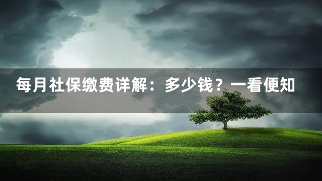 每月社保缴费详解：多少钱？一看便知