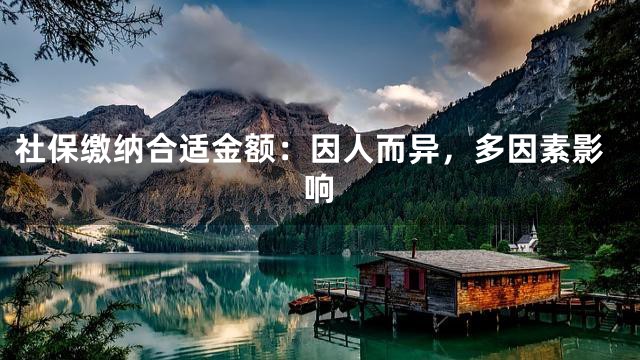 社保缴纳合适金额：因人而异，多因素影响
