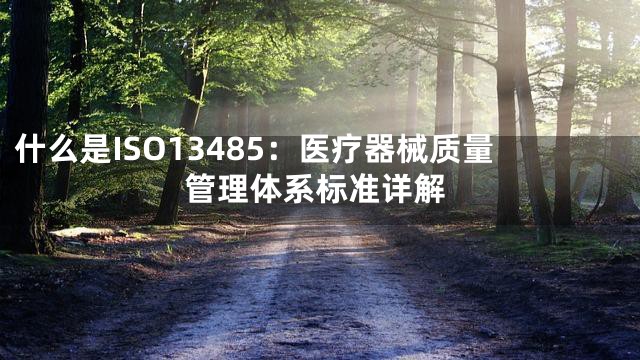 什么是ISO13485：医疗器械质量管理体系标准详解
