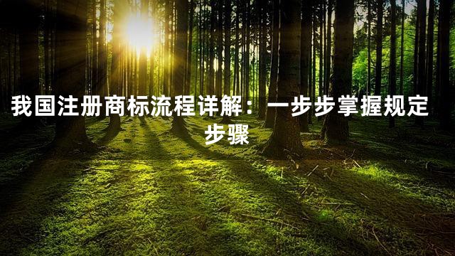 我国注册商标流程详解：一步步掌握规定步骤