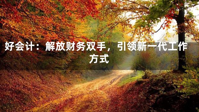 好会计：解放财务双手，引领新一代工作方式