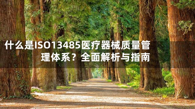 什么是ISO13485医疗器械质量管理体系？全面解析与指南
