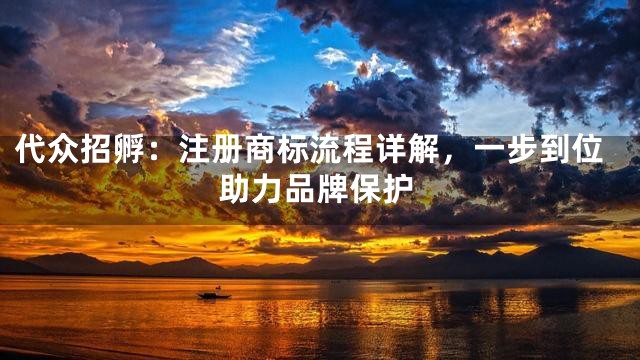 代众招孵：注册商标流程详解，一步到位助力品牌保护