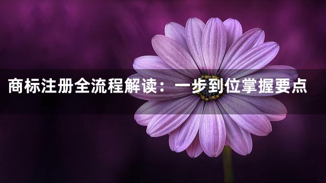 商标注册全流程解读：一步到位掌握要点