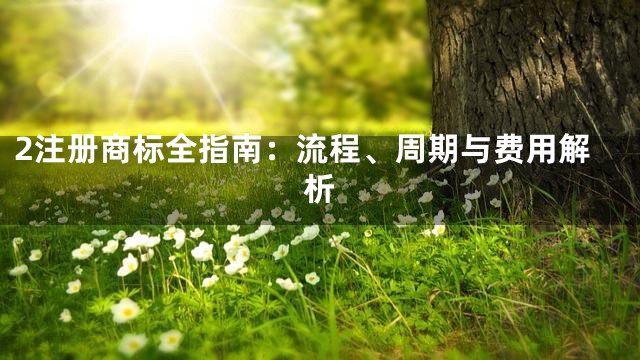 2注册商标全指南：流程、周期与费用解析