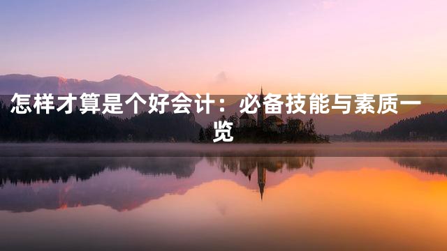 怎样才算是个好会计：必备技能与素质一览